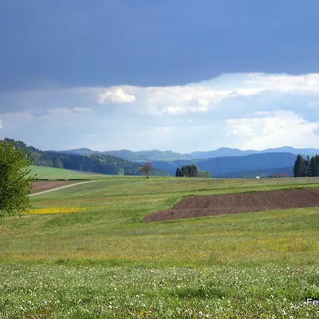 Matthis-hof Apartmán Waldshut-Tiengen