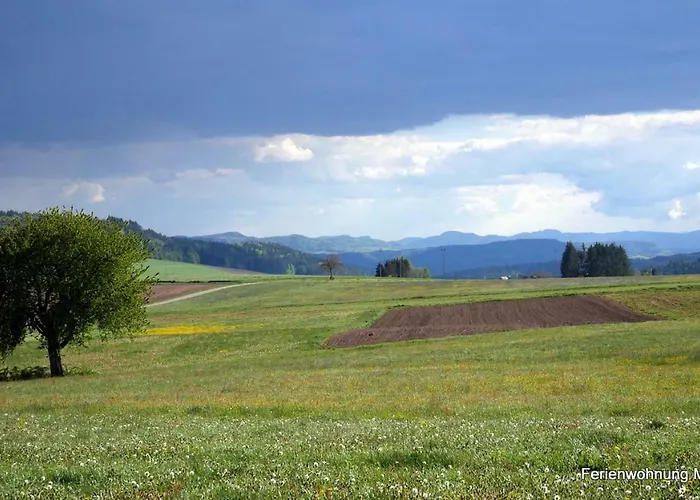 Matthis-hof Lejlighed Waldshut-Tiengen